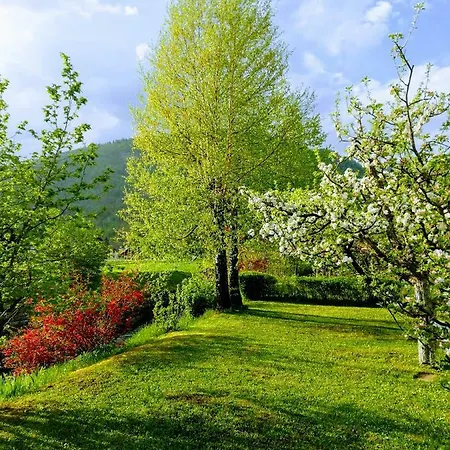 Mlakar Apartment Bohinj