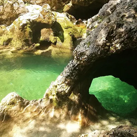 Apartment Mlakar Bohinj